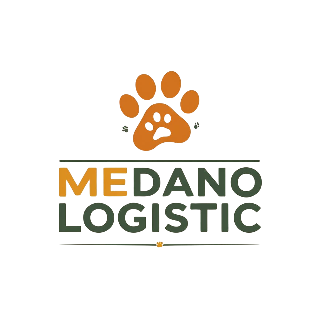 MEDANO LOGISTIC